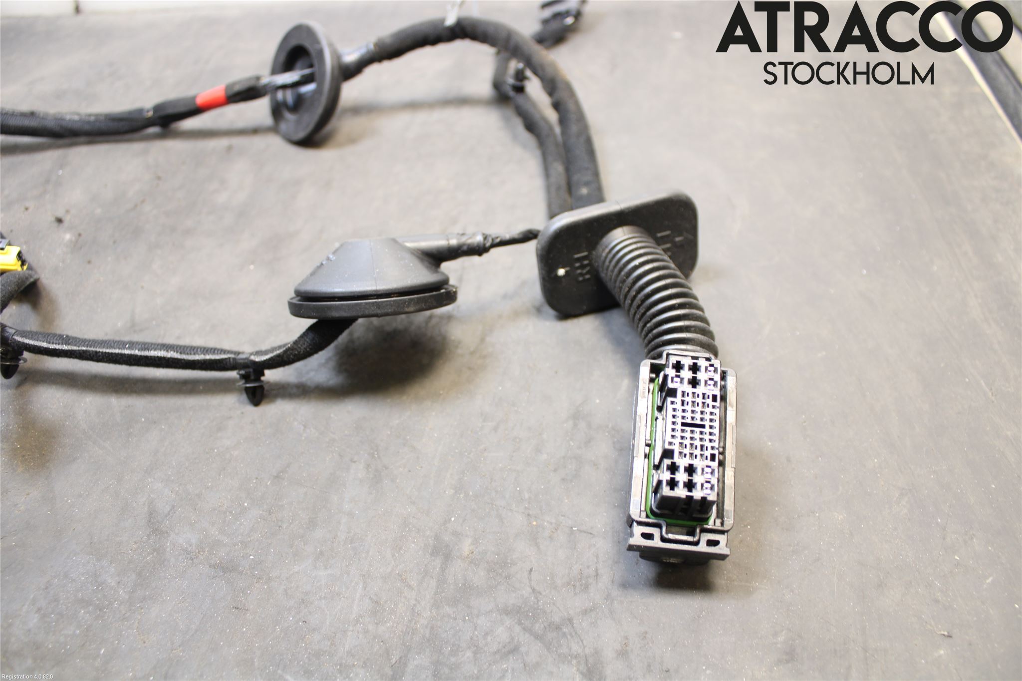 Kia NIRO (DE) 17-22 Kabelhärva