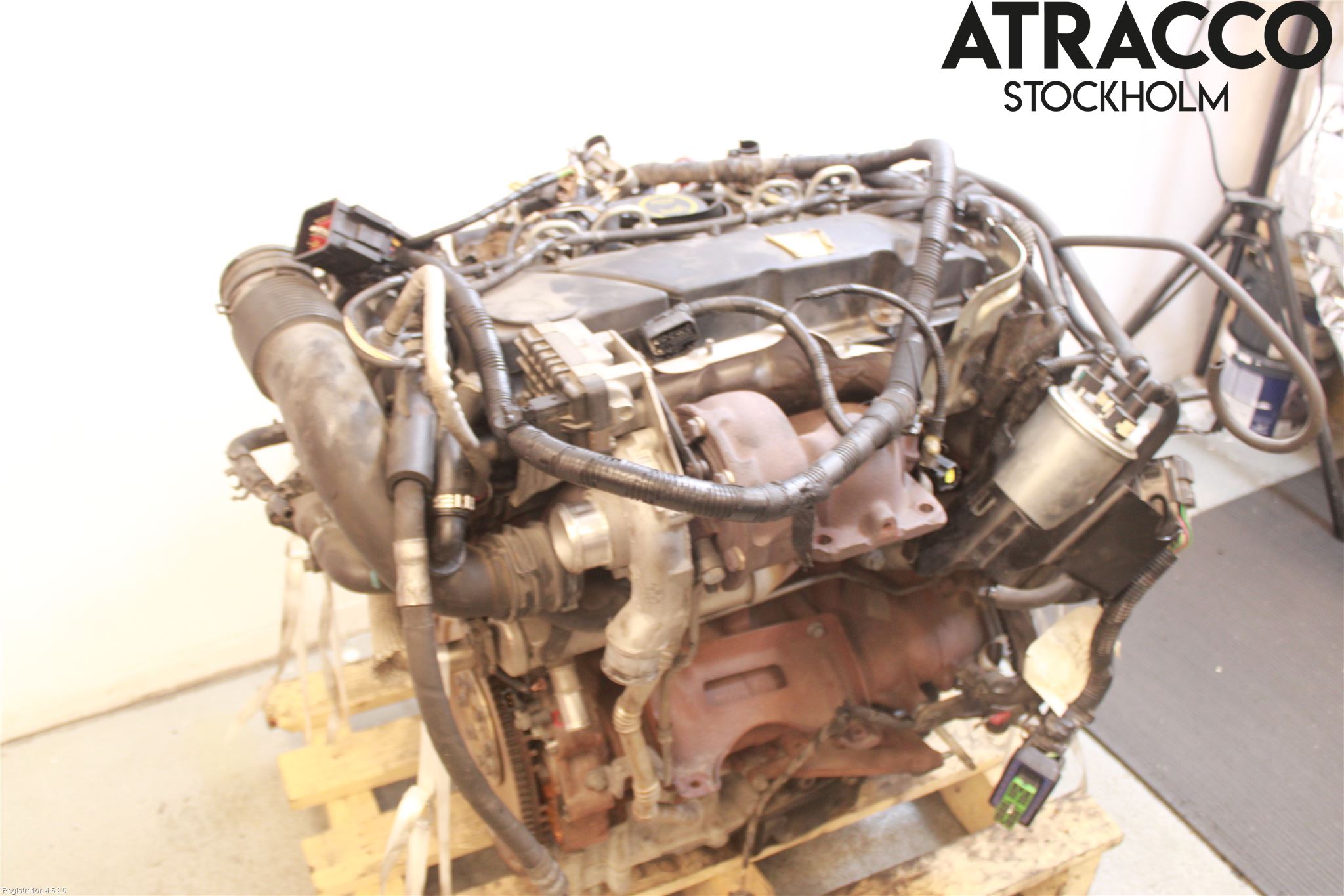 Jaguar X-TYPE Motor Diesel