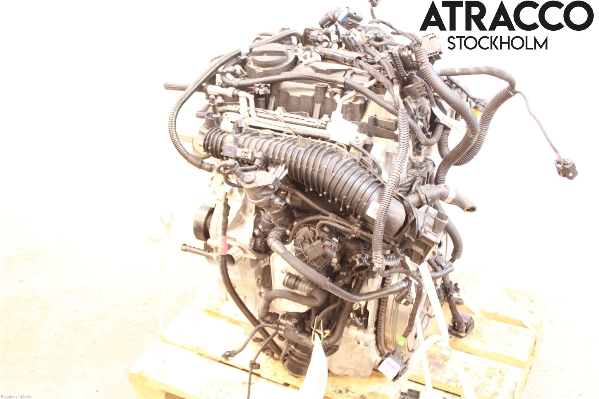 BMW X1/iX1 U11 23- Motor Bensin