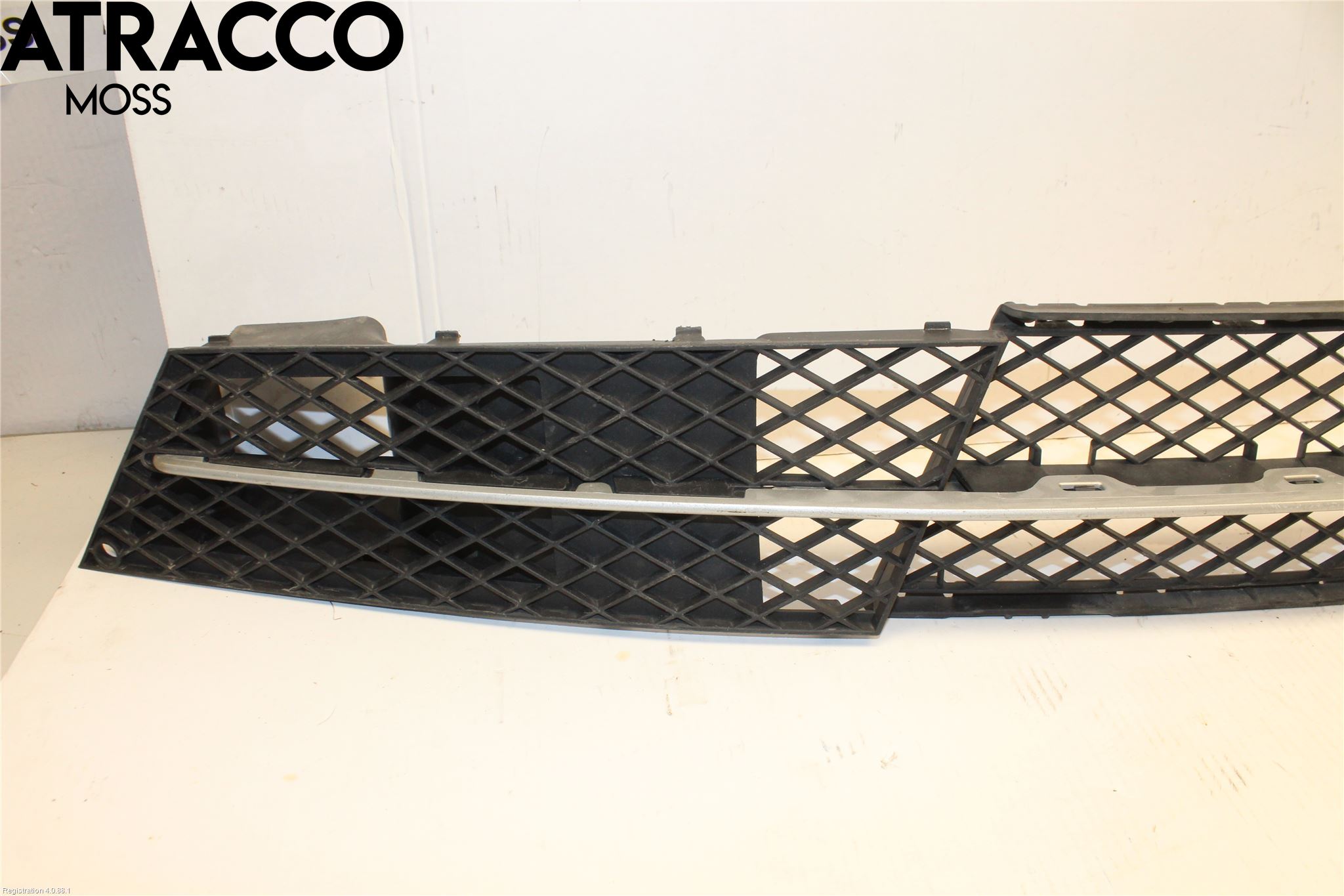 BMW 5 E60/61 Sed/Tou 02-10 Grillsarg