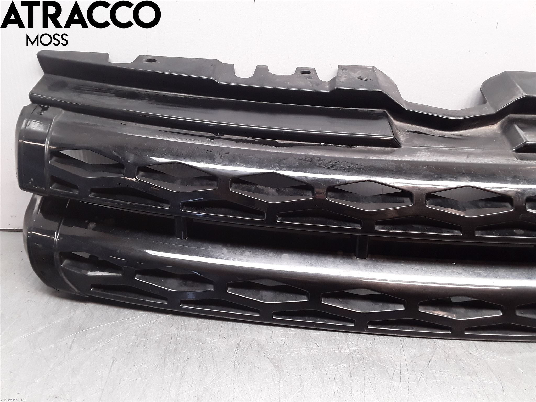 Landrover LAND ROVER RANGE ROVER EVOQUE (L538) 11-18 Grillsarg