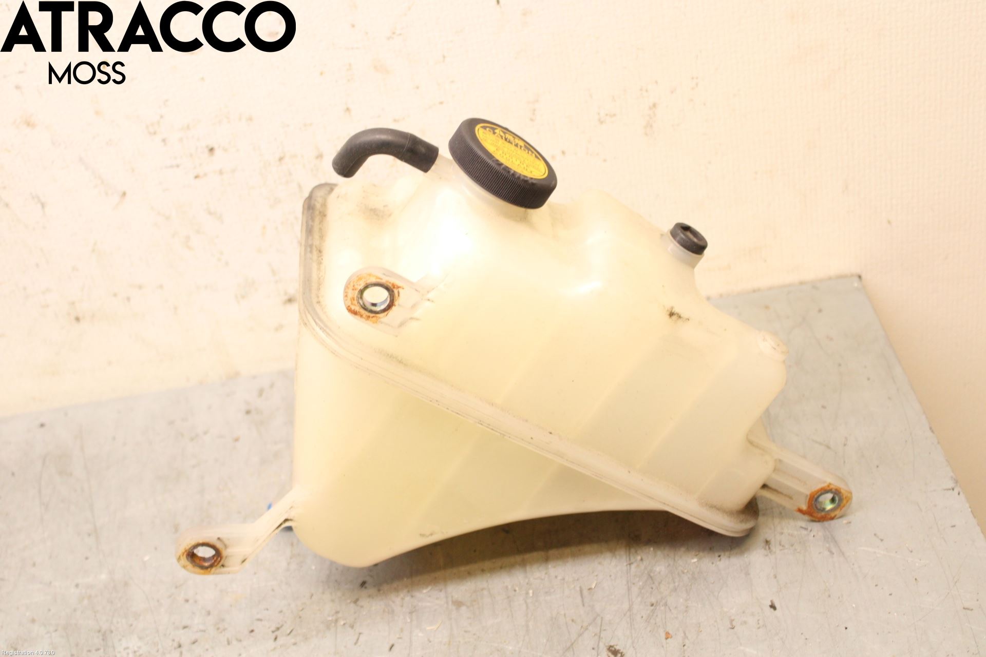Toyota LANDCRUISER J120 02-09 Expansionstank