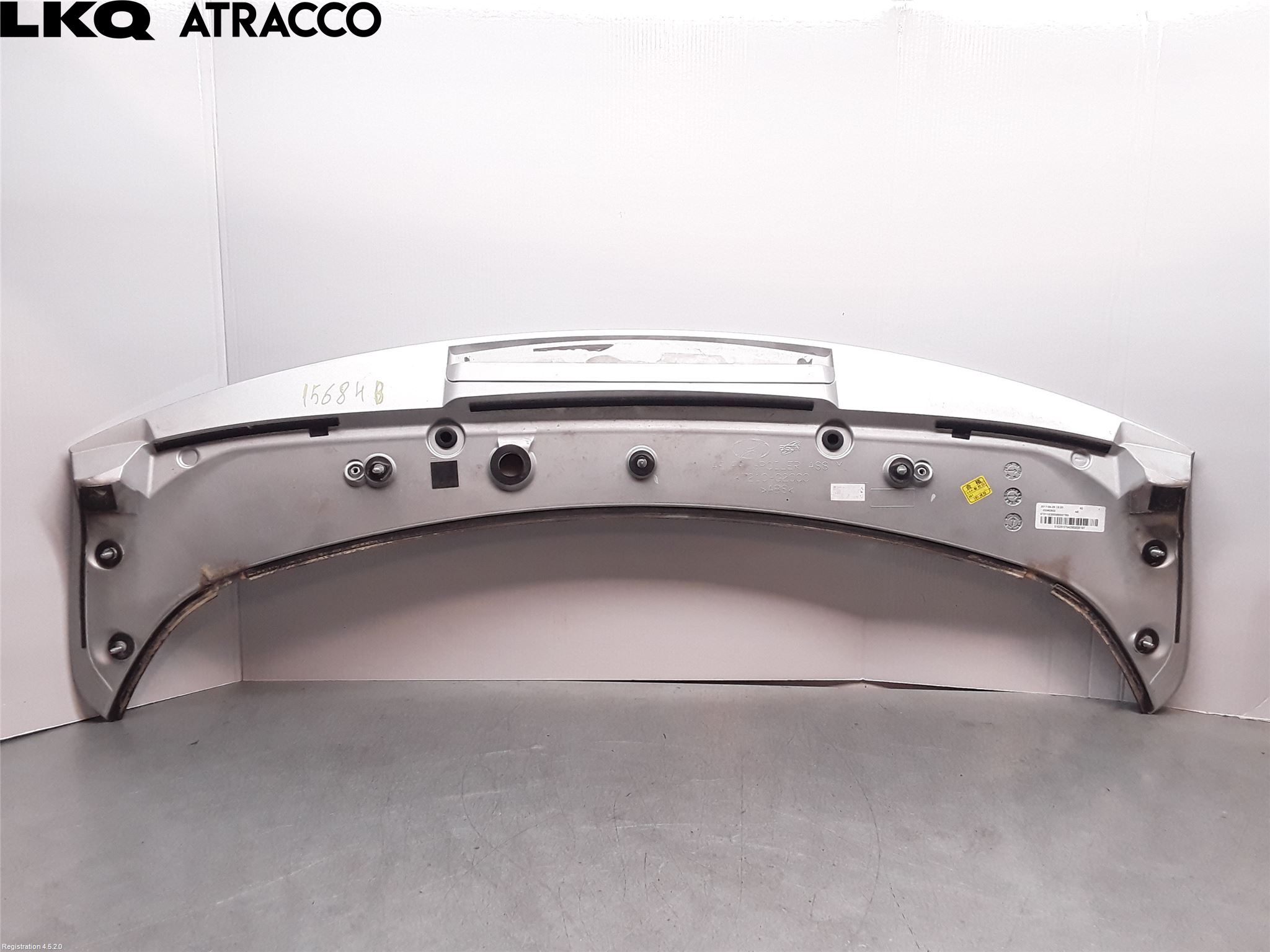 Hyundai IONIQ AE 17-22 Spoiler Baklucka