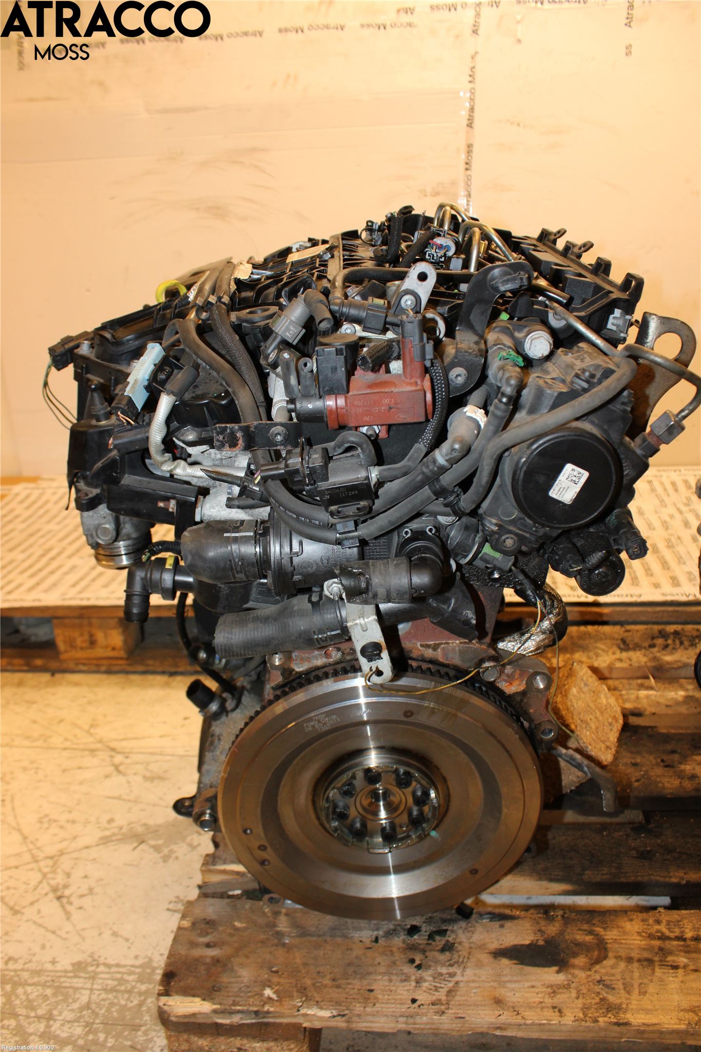 Ford FOCUS 11-14 Motor Diesel
