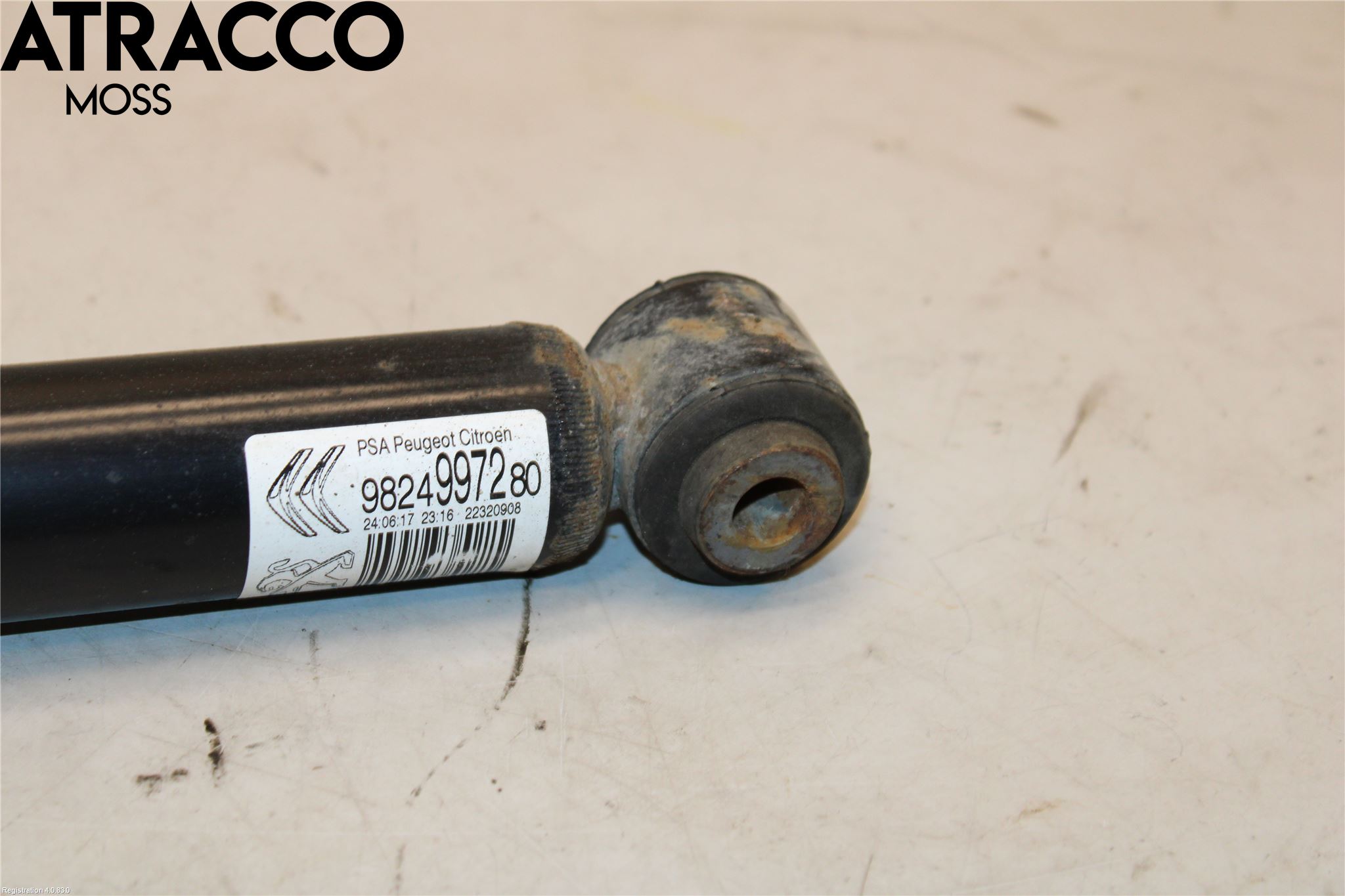 Citroen C3 AIRCROSS 18-23 Stötdämpare Bak