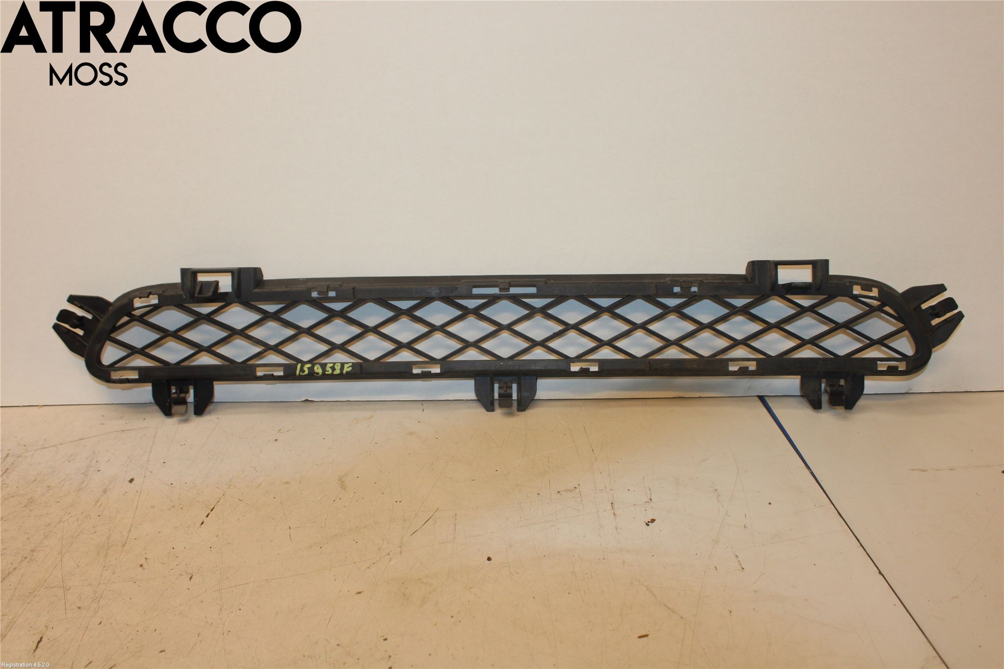 BMW X3 F25 10-17 Grill-Galler
