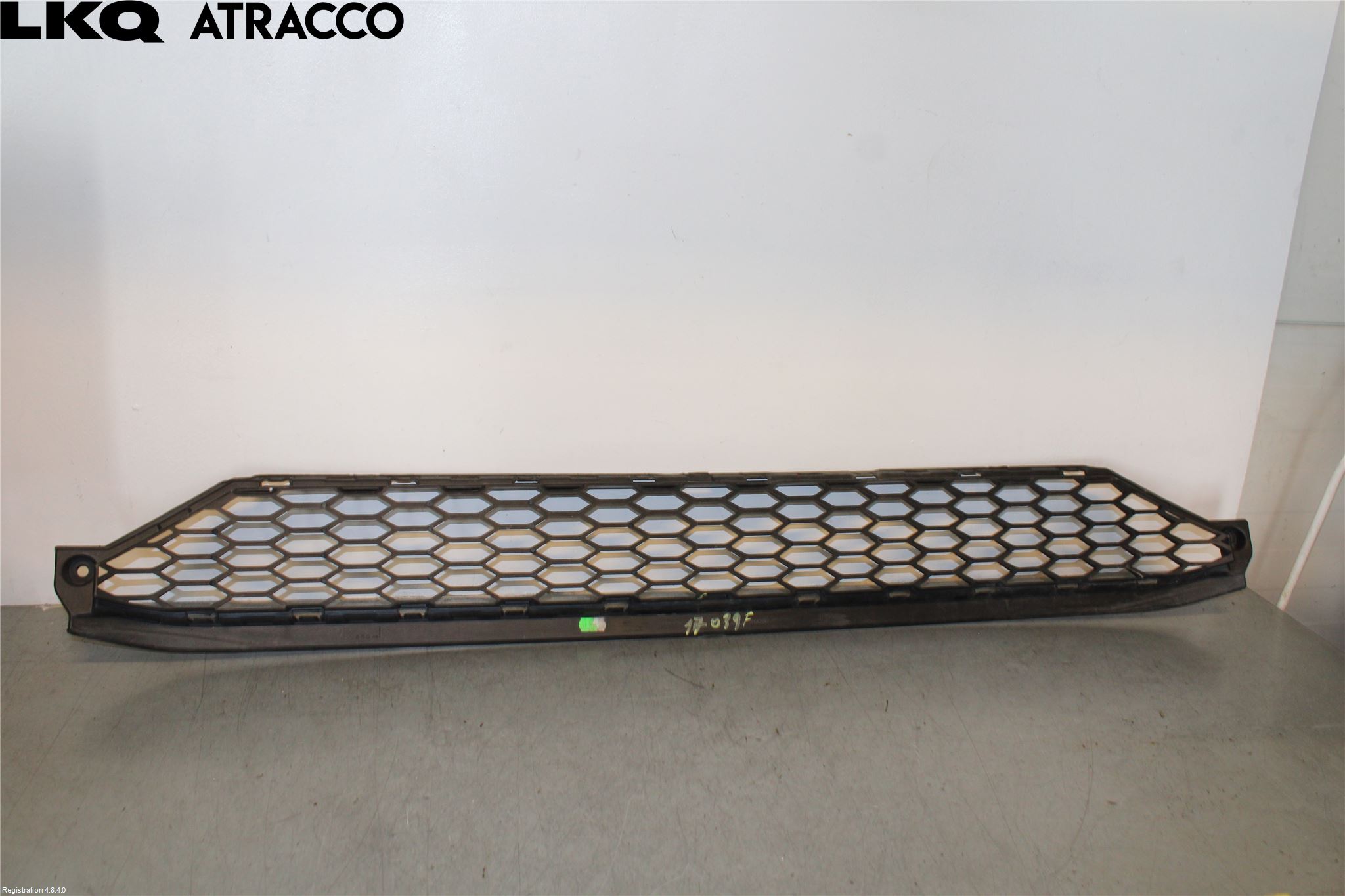 Jaguar I-PACE 18- Grill-Galler