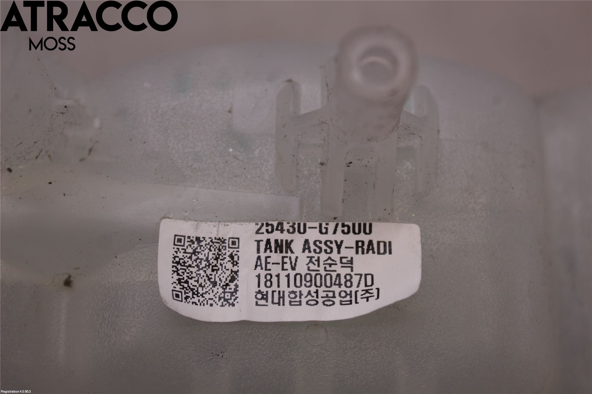 Hyundai IONIQ AE 17-22 Expansionstank