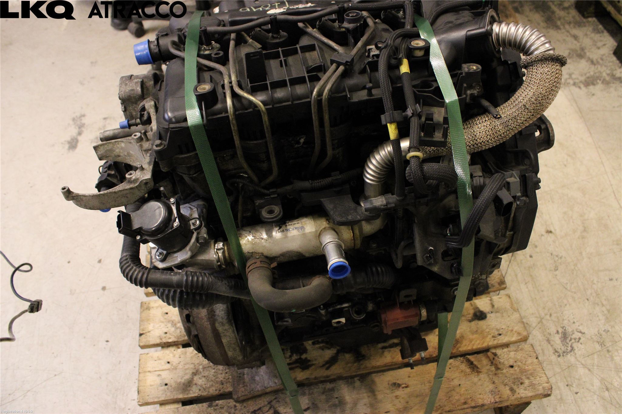 Ford FOCUS     04-07 Motor Diesel