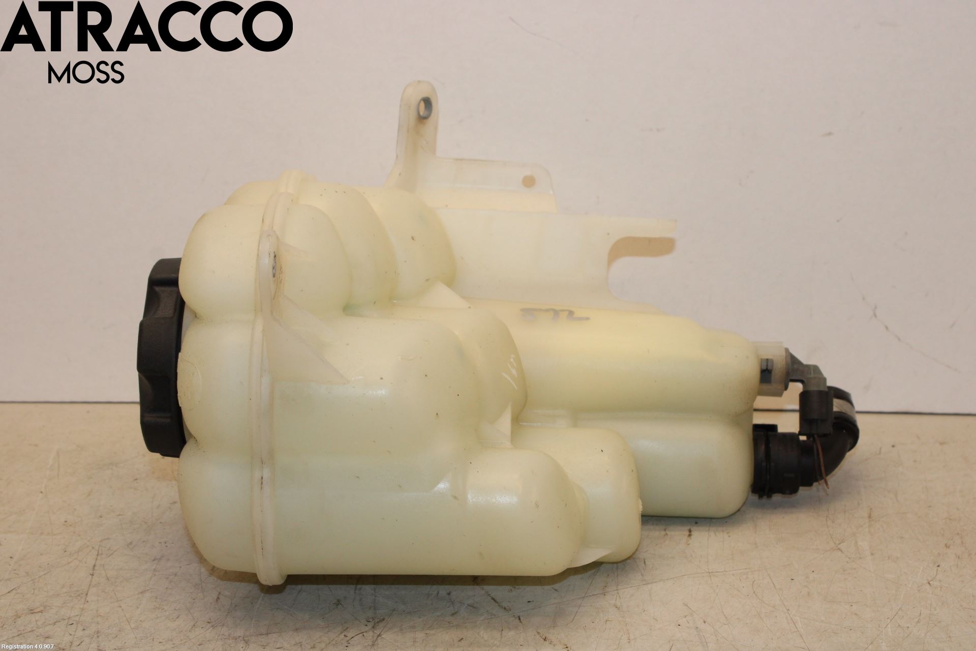 BMW X5 F15 13-18 Expansionstank