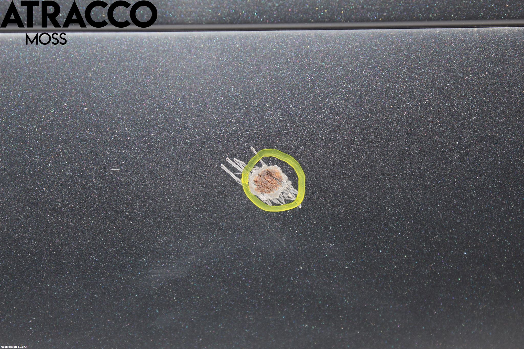 Audi A4/S4 05-07 Dörr Bak Vänster