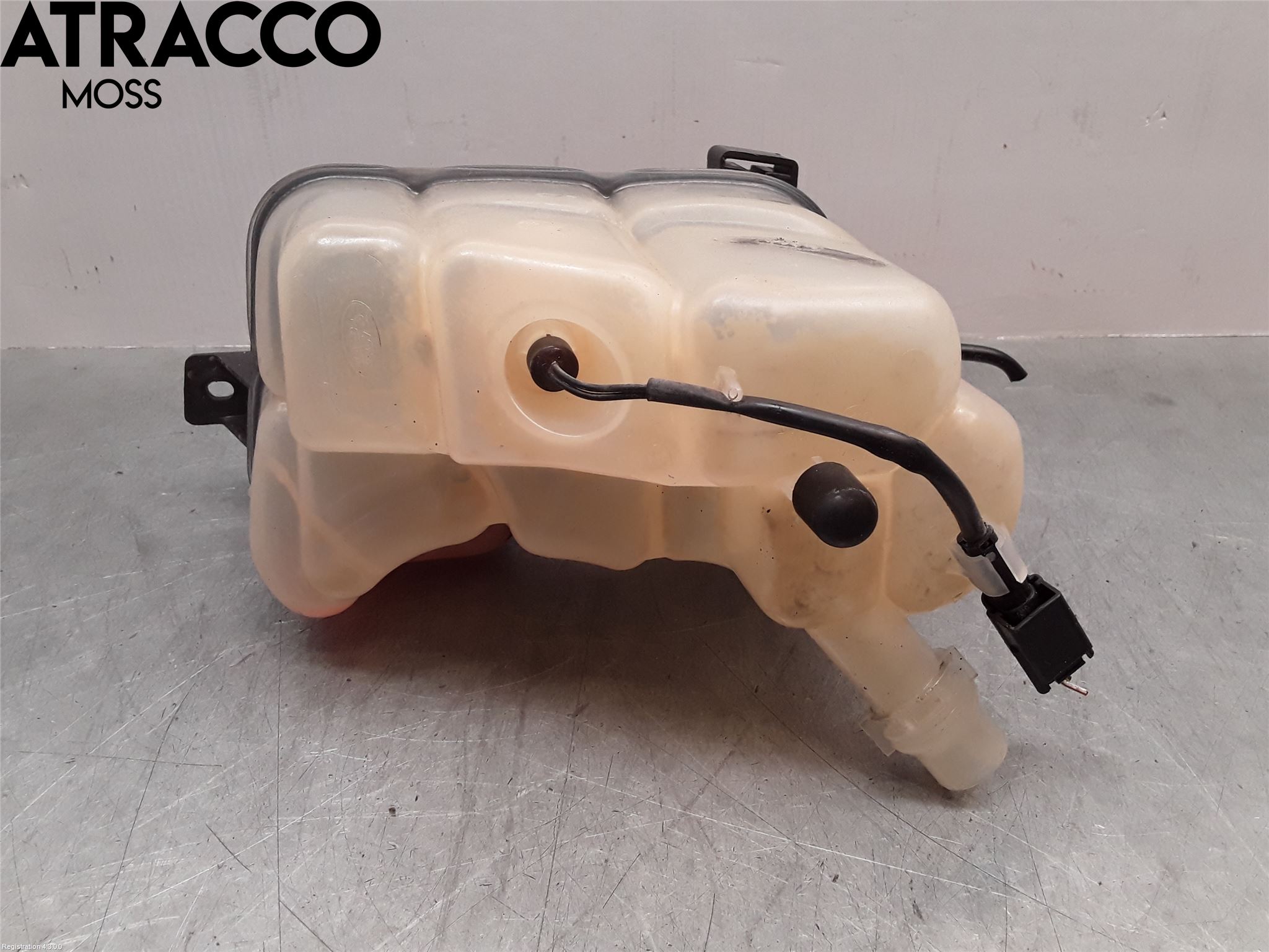 Landrover LAND ROVER RANGE ROVER EVOQUE (L538) 11-18 Expansionstank