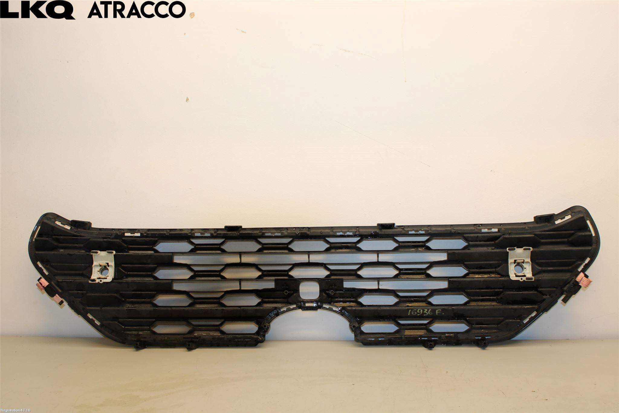 Toyota RAV4 19- Grill-Galler