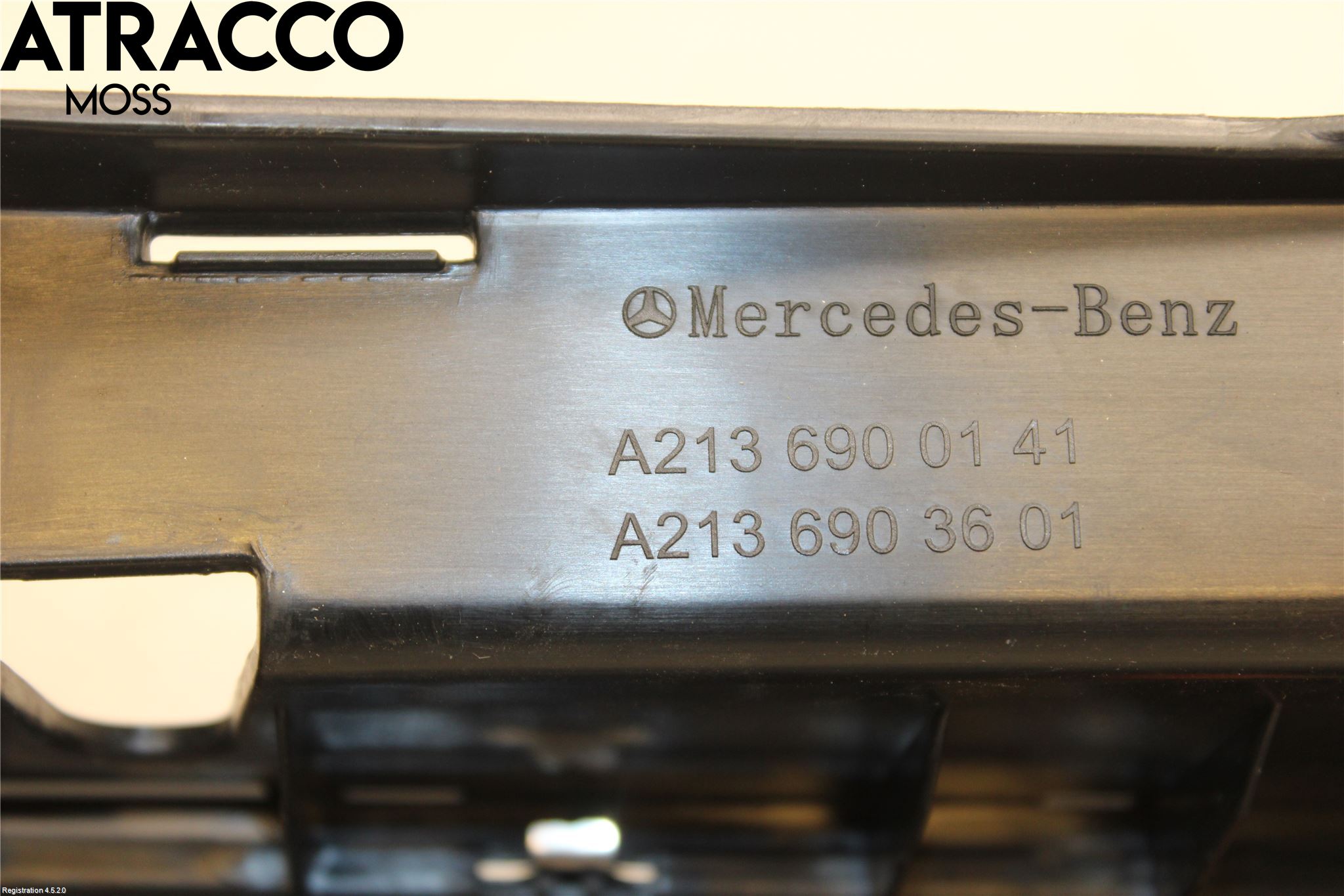 Mercedes-Benz MB E-KLASS (W213) 16-23 Inr Tröskel-Insteg