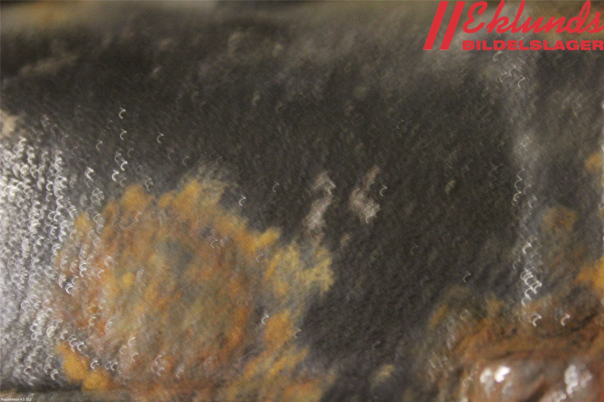 BMW X1 E84 10-15 Bakväxel-Diff