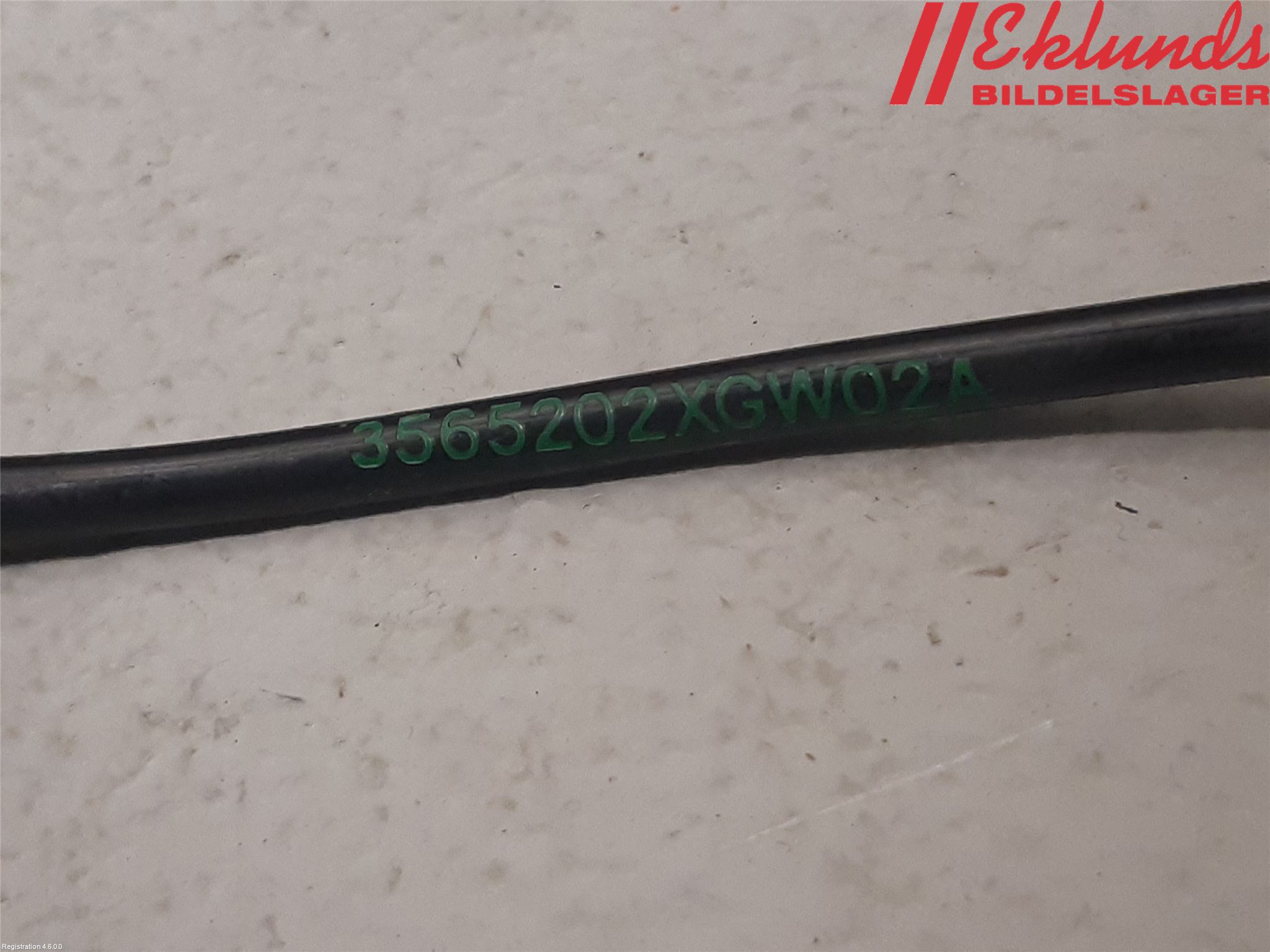Ora FUNKY CAT 22-23 Abs Sensor
