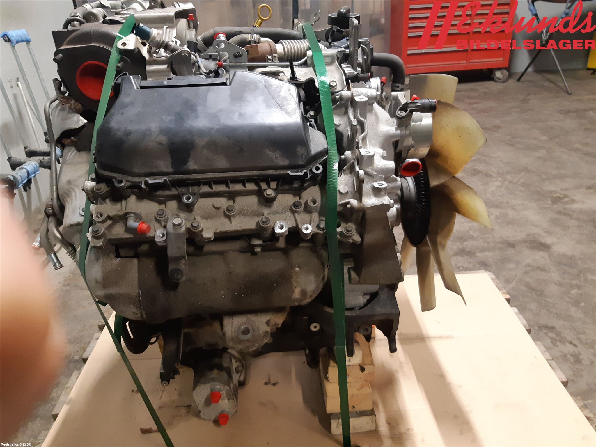 Nissan NAVARA 05-16 Motor Diesel