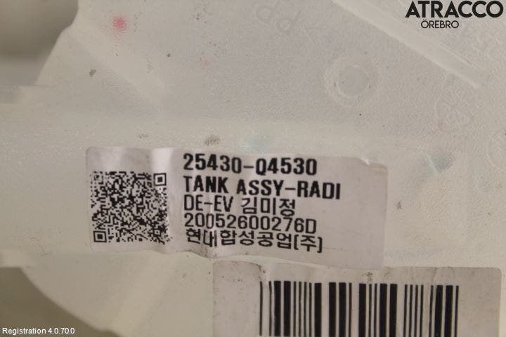 Kia NIRO (DE) 17-22 Expansionstank