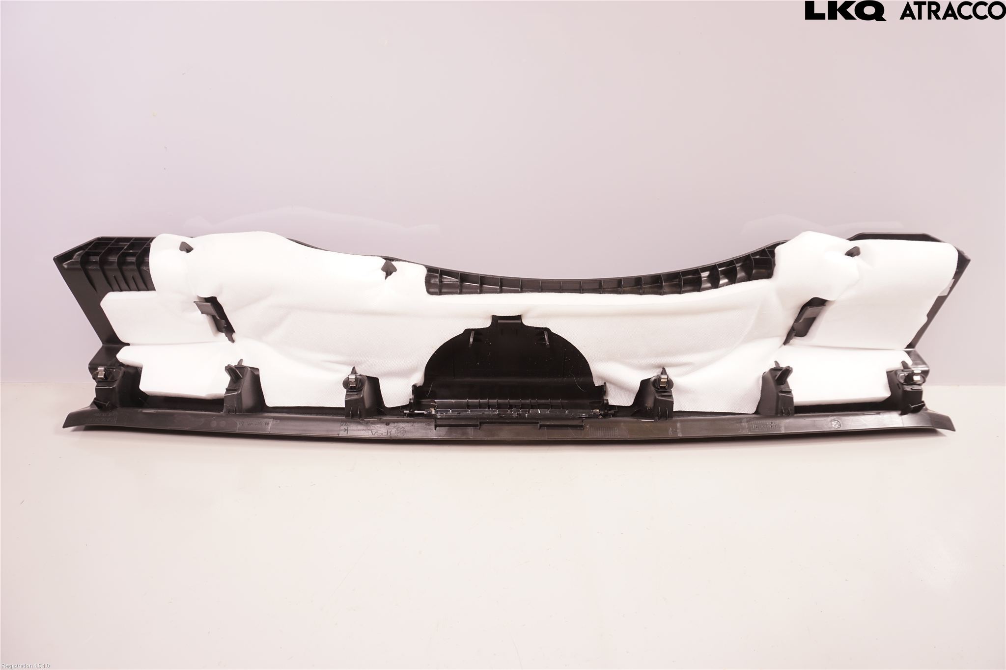 Citroen C4/E-C4 C4X/E-C4X III 21- Inr Tröskel-Insteg