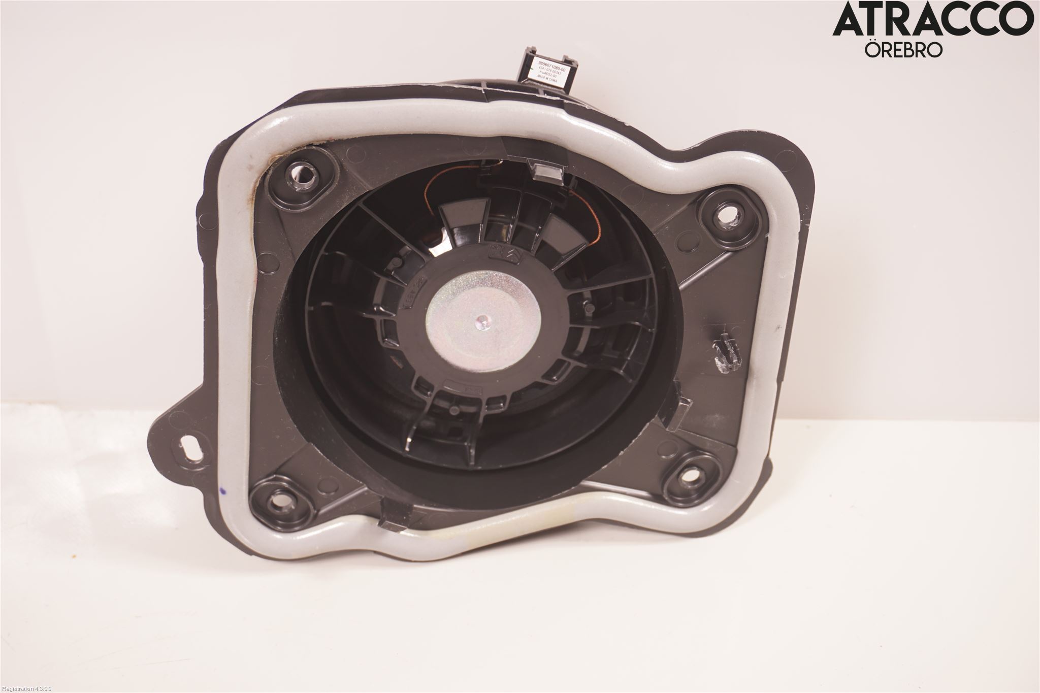 Citroen DS 4 / DS 4 E-TENSE 22- Högtalare