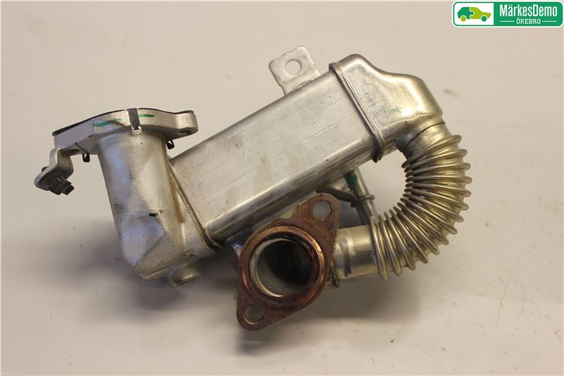Nissan QASHQAI 10-14 Avgaskylare
