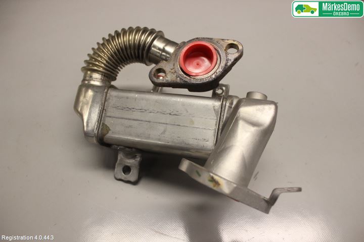 Nissan QASHQAI+2  10-14 Avgaskylare