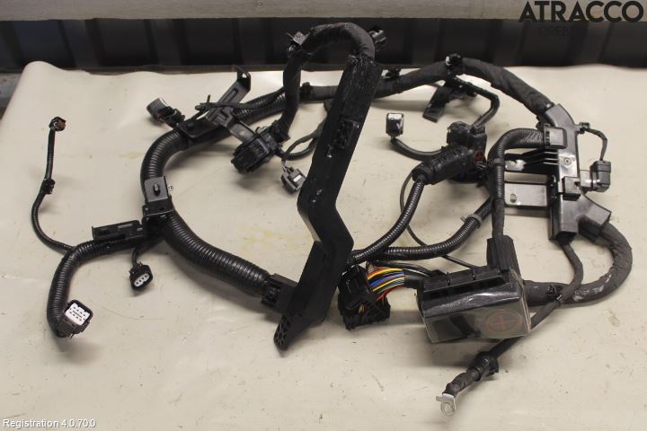 Kia NIRO (DE) 17-22 Kabelhärva