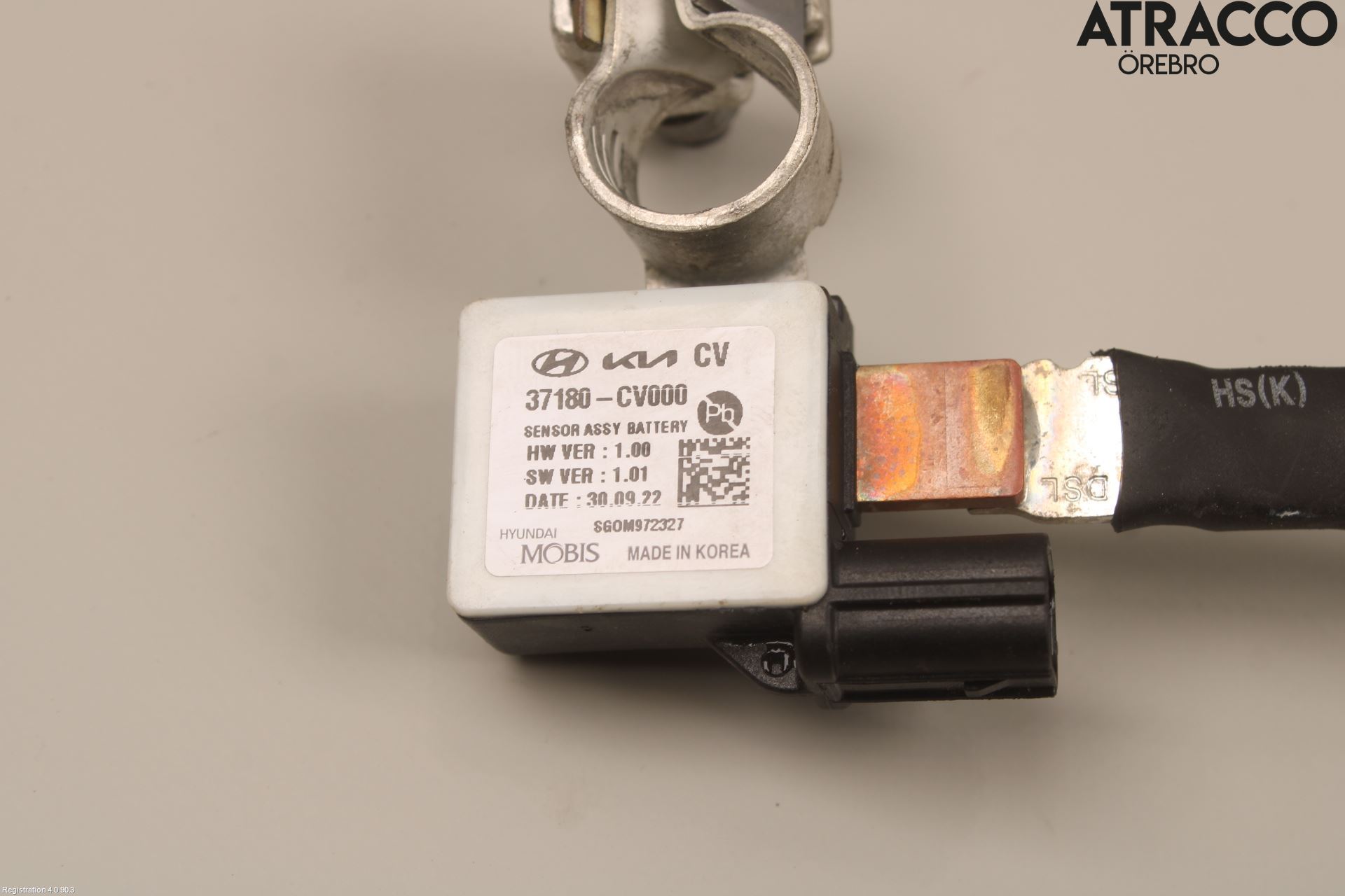 Kia EV6 (CV) 22- Batterikabel