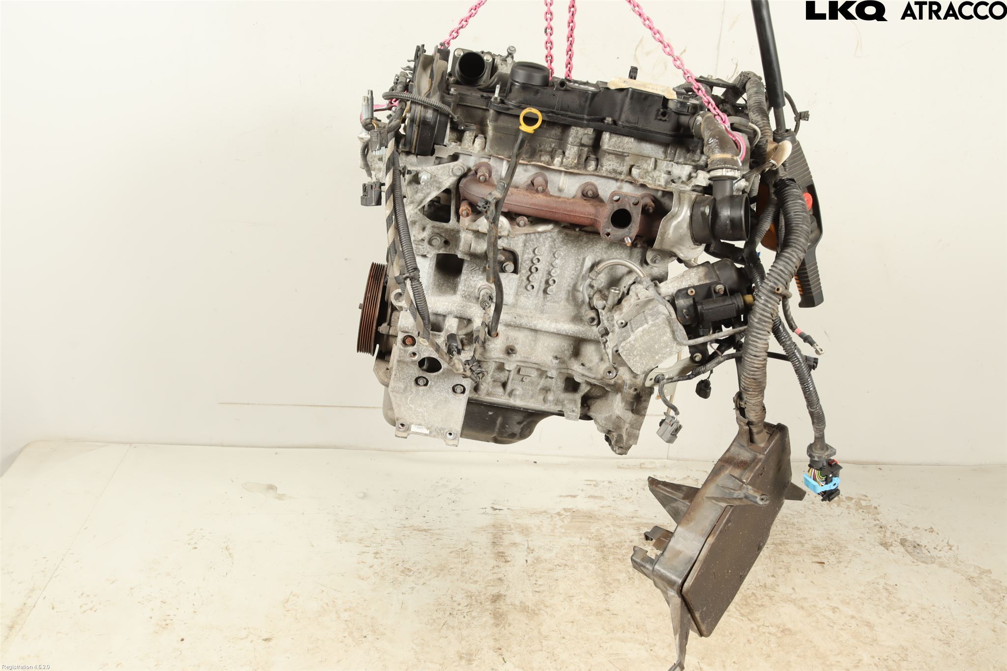 Ford FOCUS 11-14 Motor Diesel