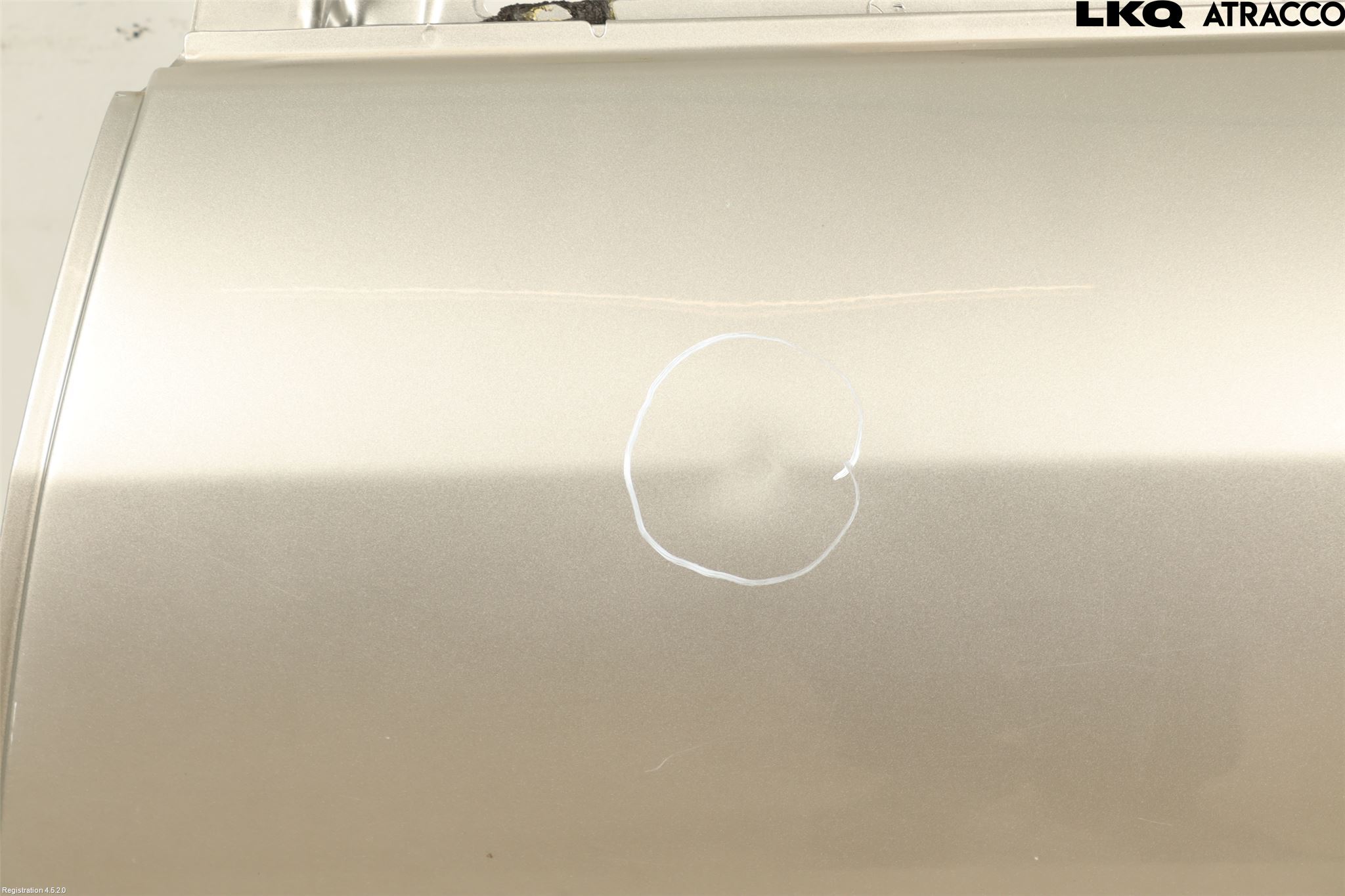 Renault MEGANE III 09-15 Dörr Bak Vänster