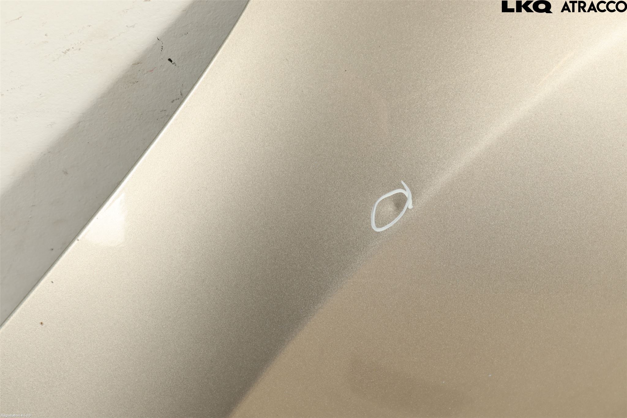 Renault MEGANE III 09-15 Huv Fram