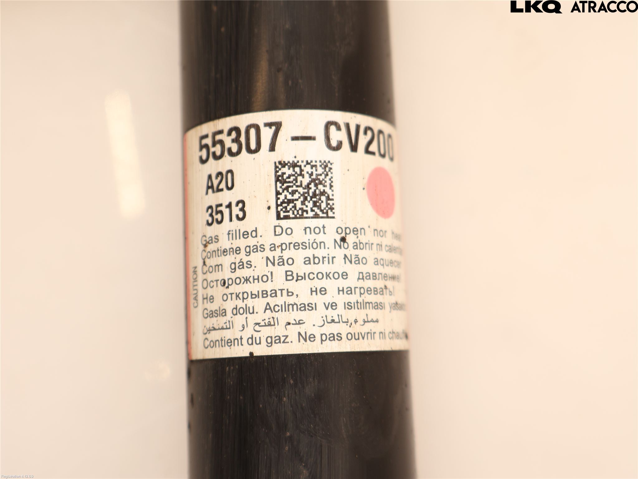 Kia EV6 (CV) 22- Stötdämpare Bak