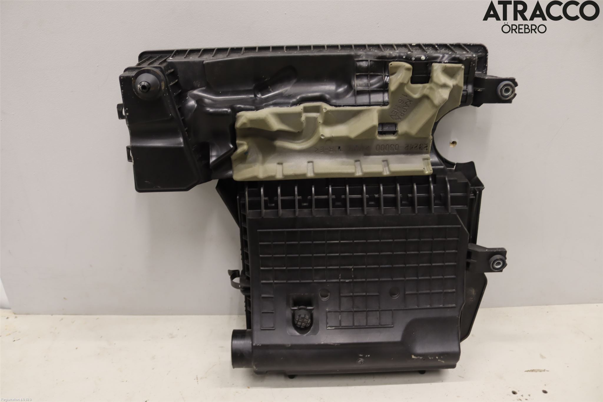 Kia NIRO (DE) 17-22 Luftrenare