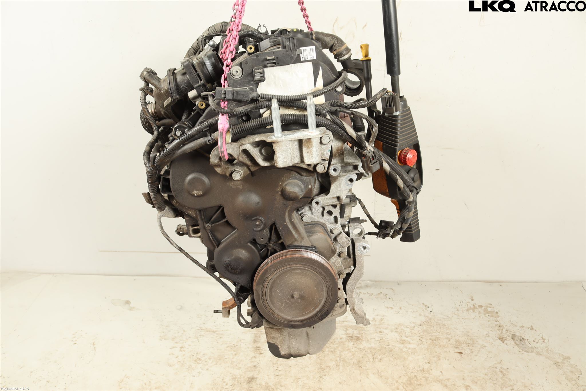 Ford FOCUS 11-14 Motor Diesel