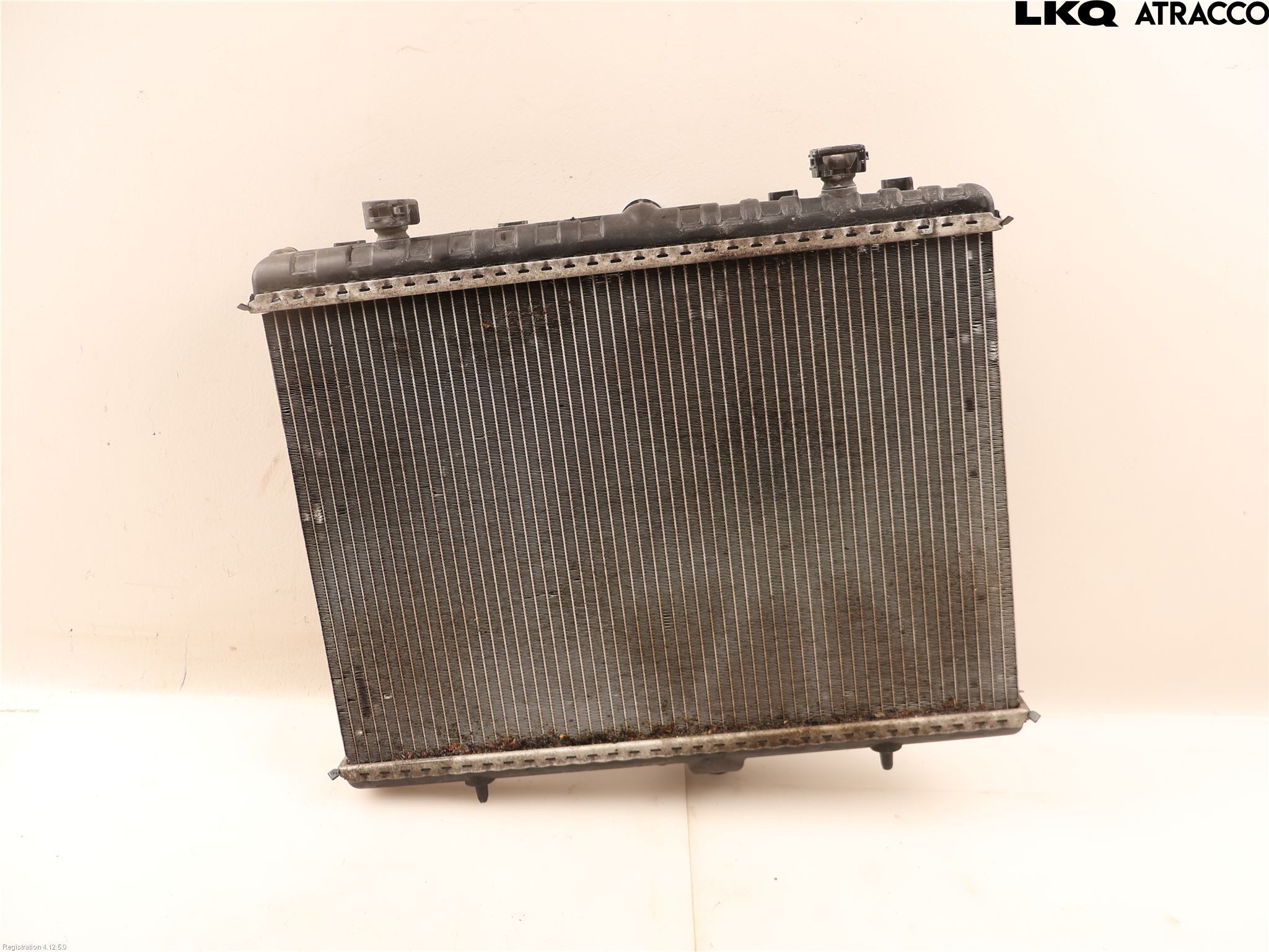 Peugeot EXPERT 07-14 Kylare Man