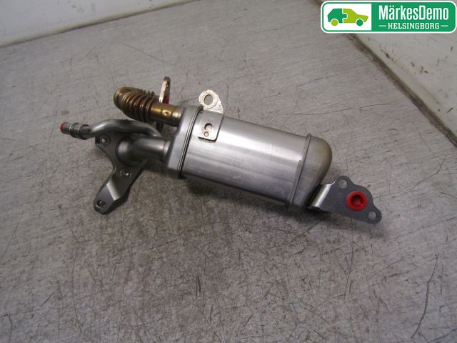 Renault KANGOO II 15-21 Avgaskylare