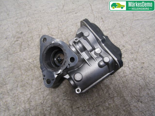 Renault KANGOO II 15-21 Egr Ventil