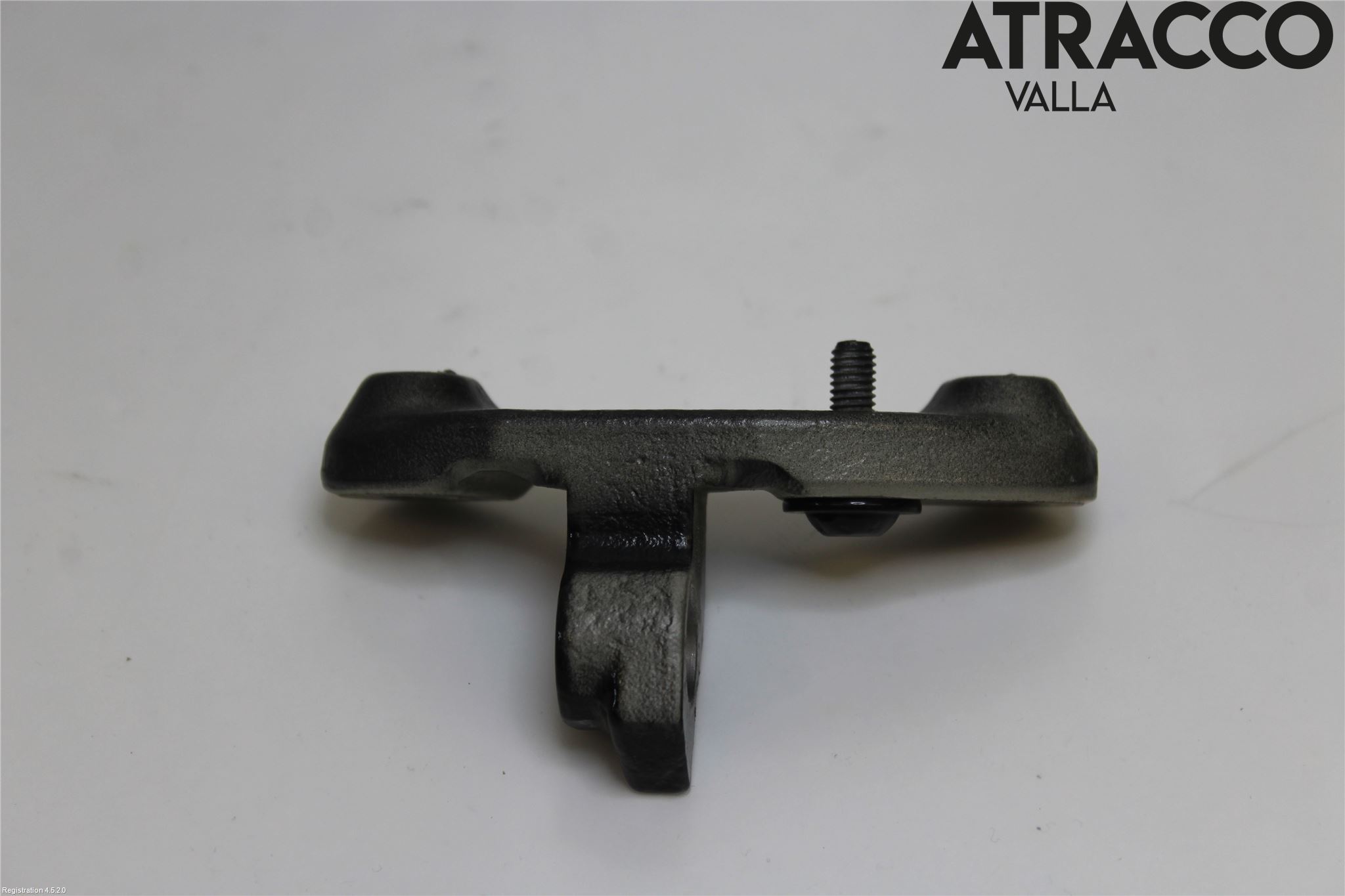 Porsche PANAMERA 09- Dörrgångjärn