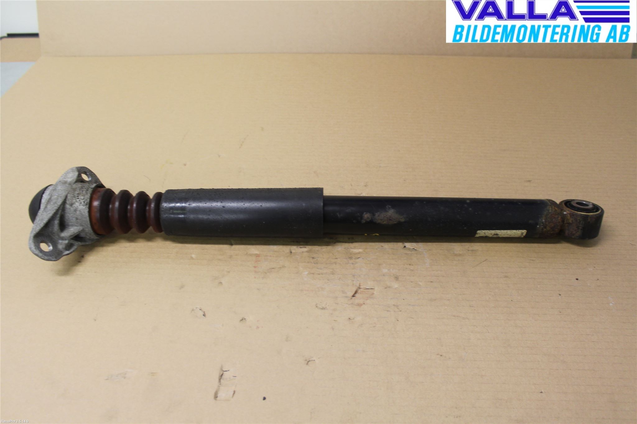 Volkswagen VW GOLF PLUS/CROSS GOLF 04-14 Stötdämpare Bak