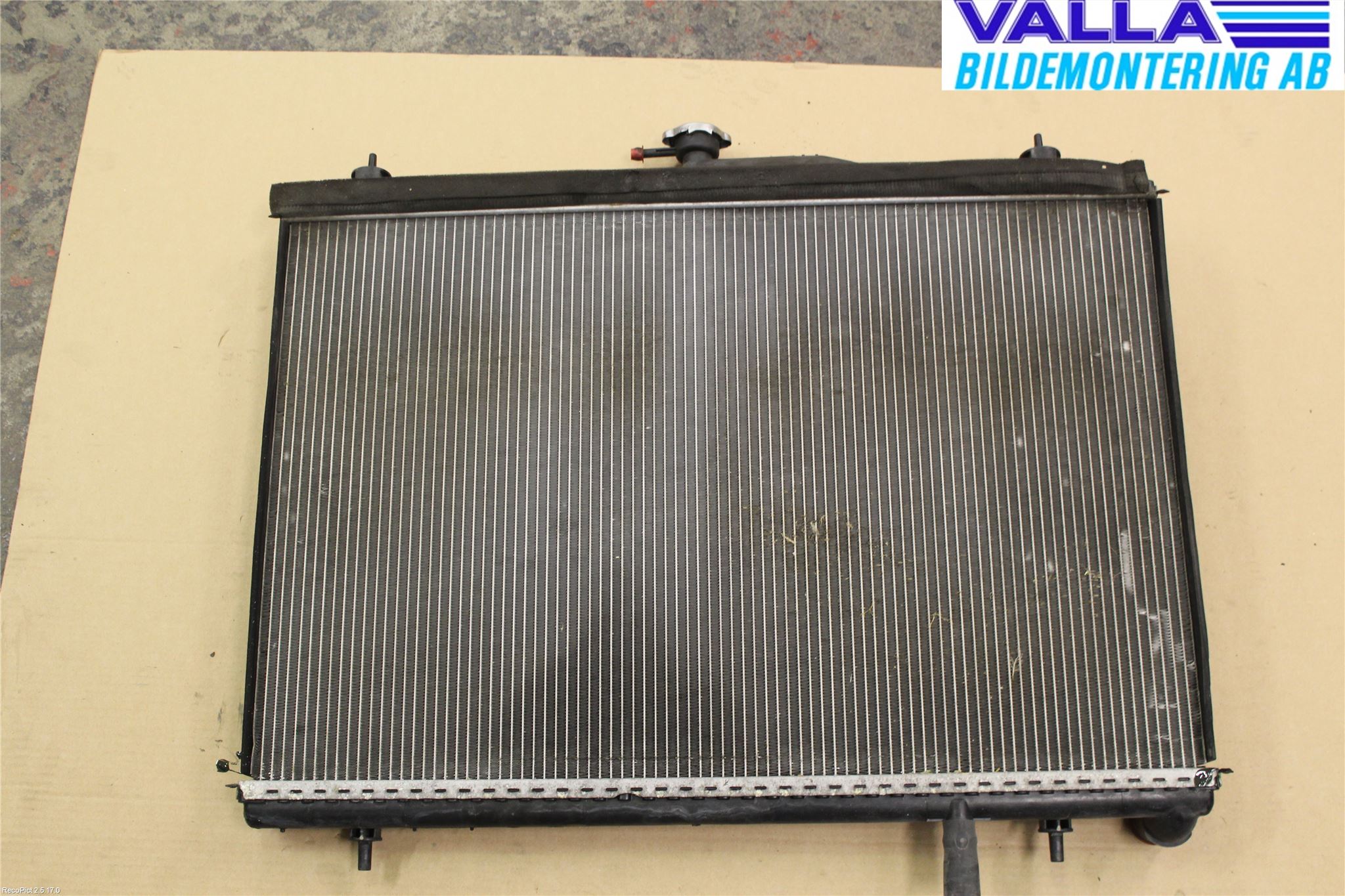 Renault KOLEOS I 08-10 Kylare Man