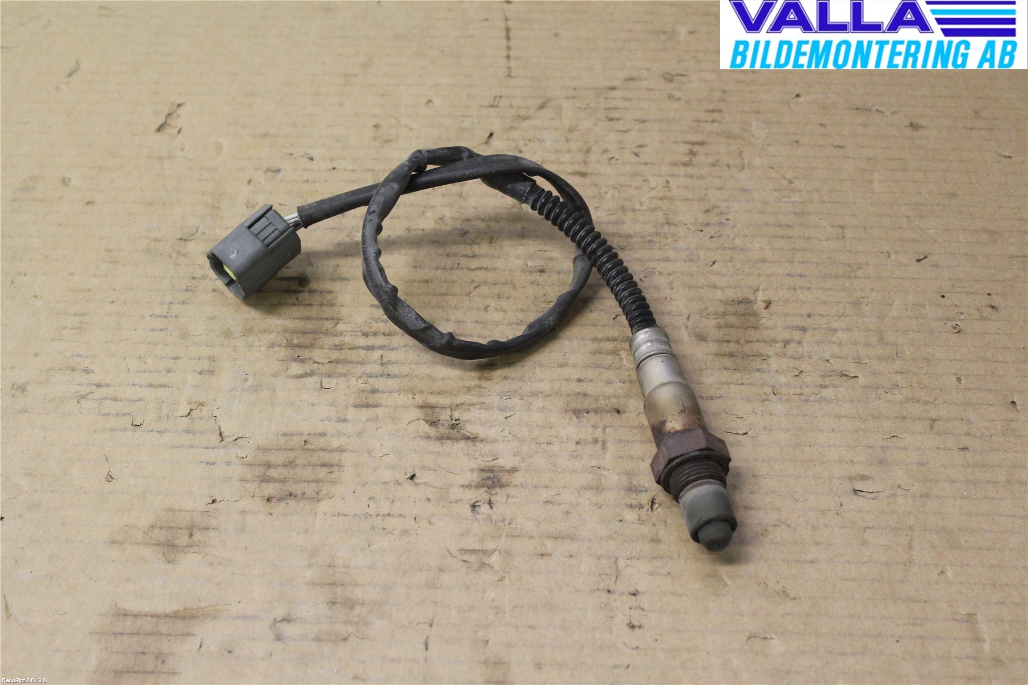 Kia CARNIVAL Injlambdasond