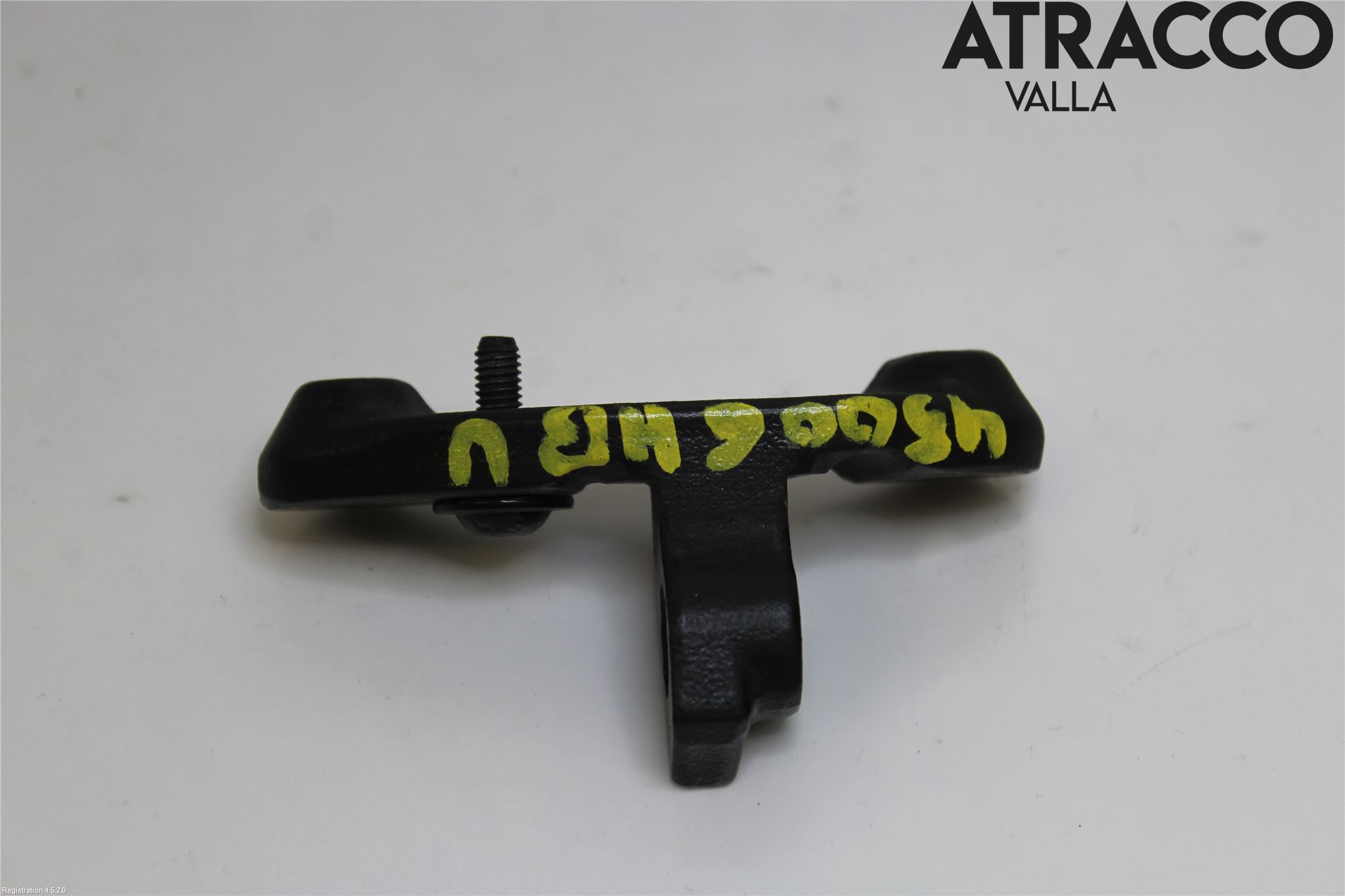 Porsche PANAMERA 09- Dörrgångjärn