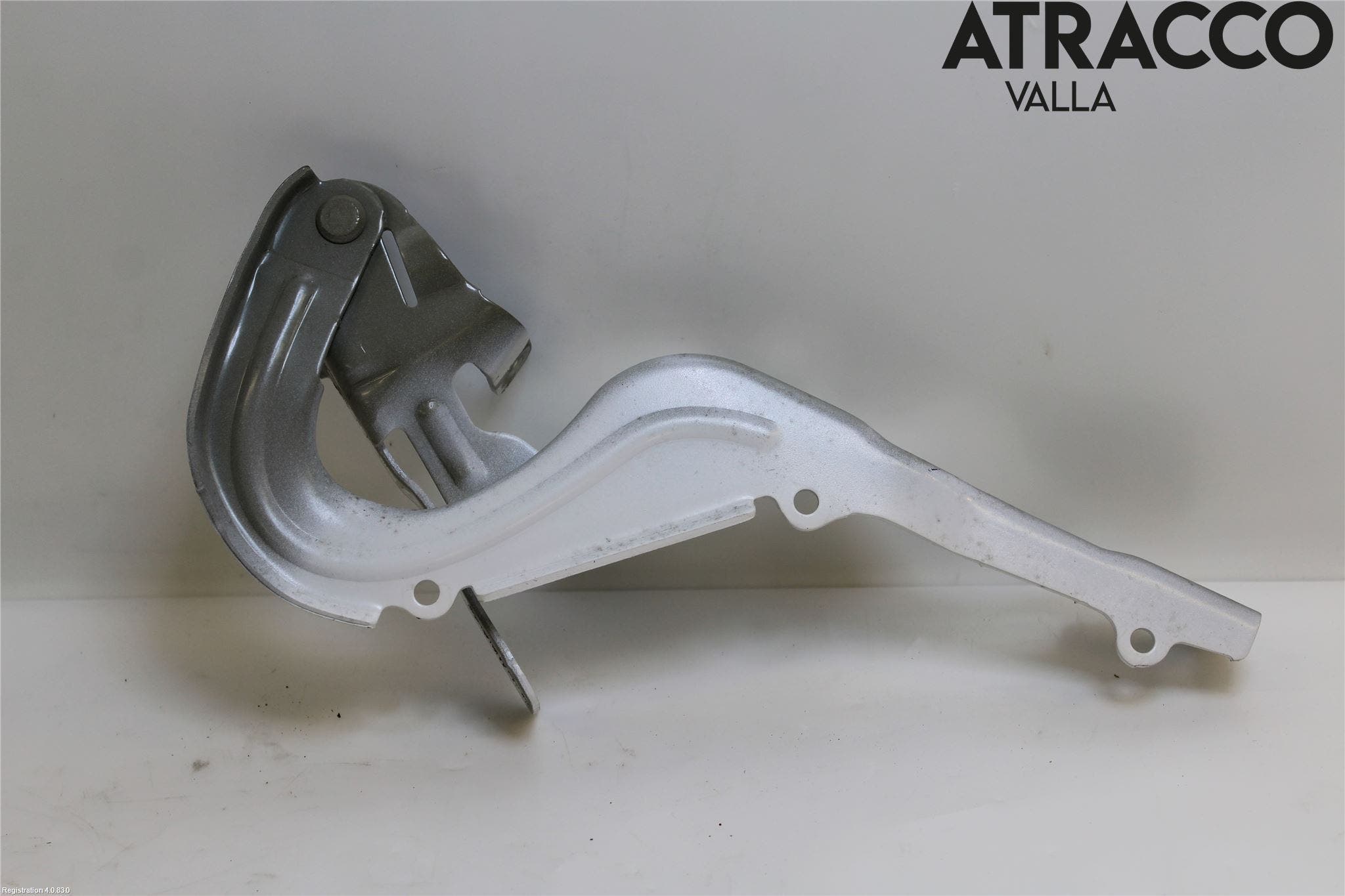 Citroen COTROEN C3 17-24 Huvgångjärn