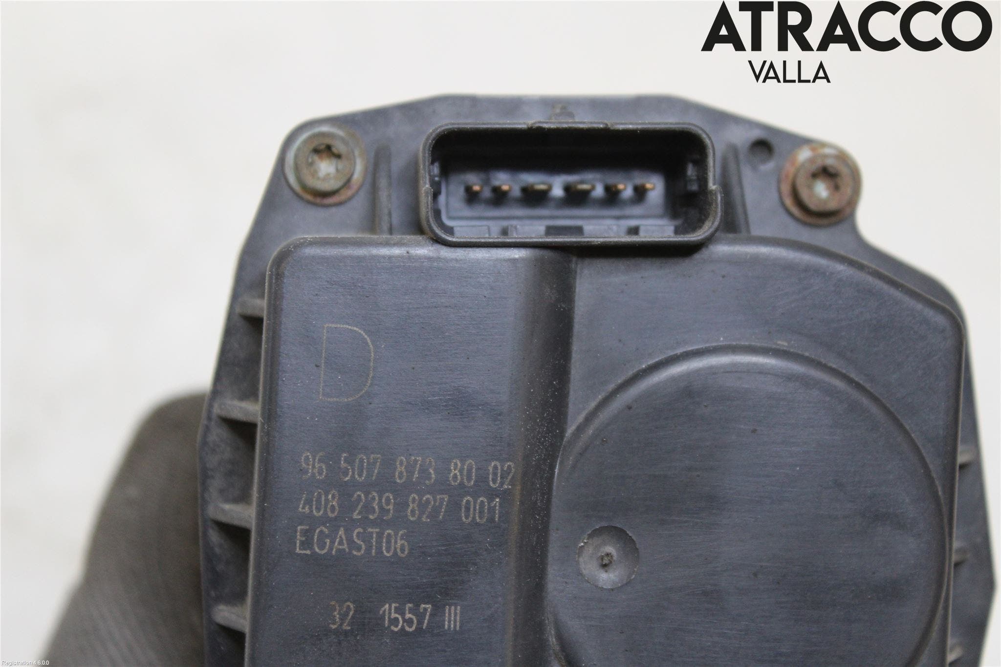 Peugeot 307 05-08 Injspjällhus