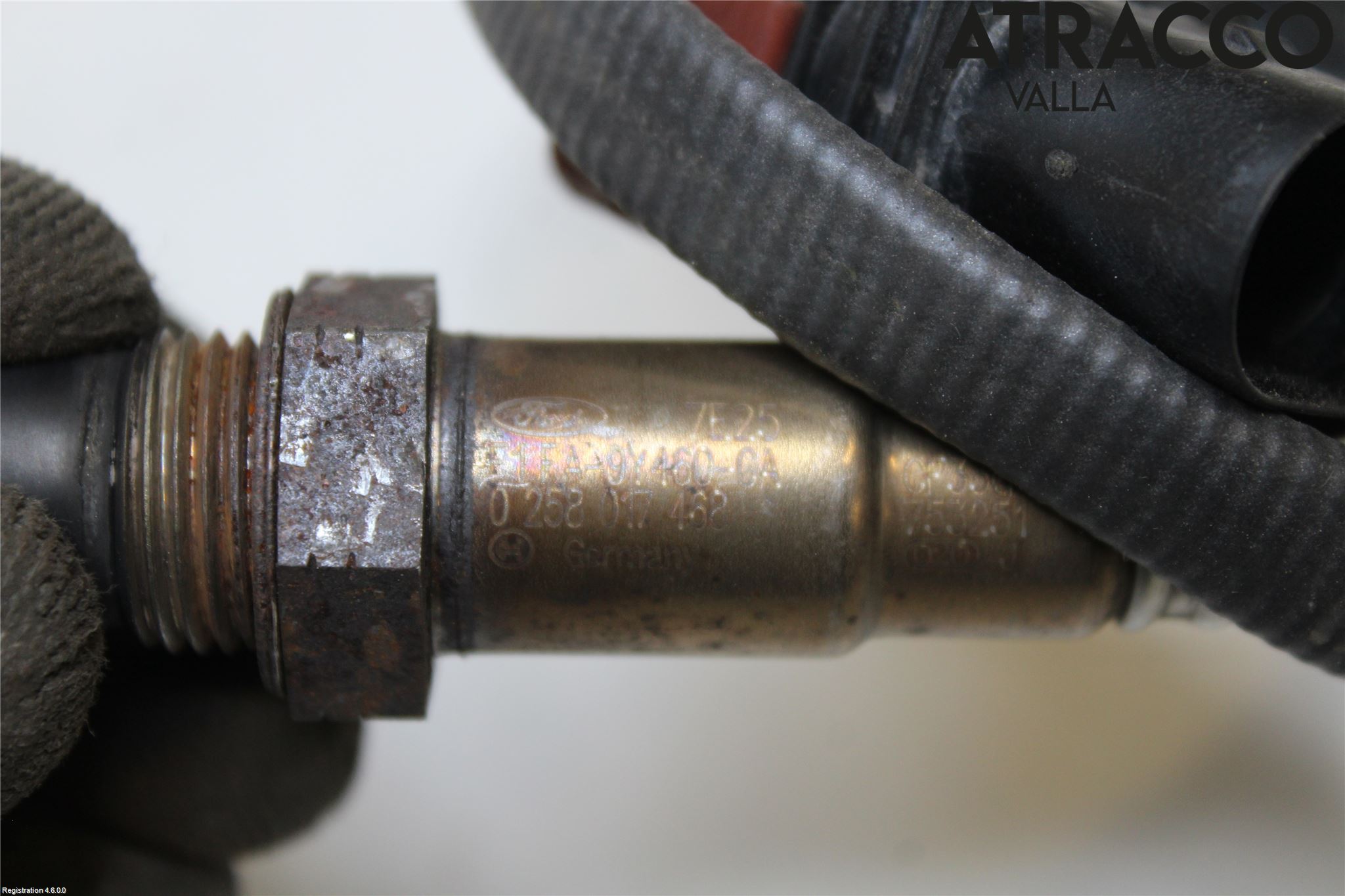 Ford FOCUS 15-18 Injlambdasond