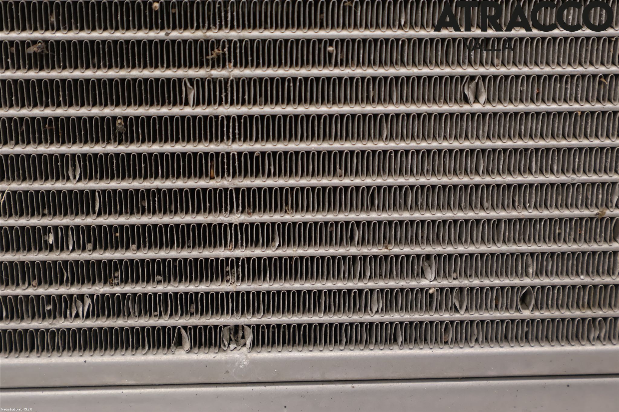 Renault CLIO III  06-09 Kylare Man