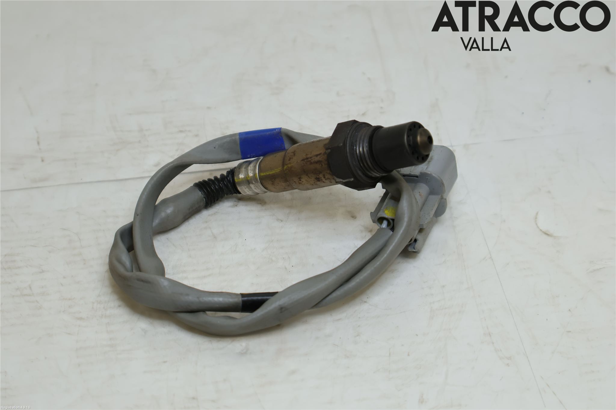 Kia CEED/CEED SW 19- Injlambdasond