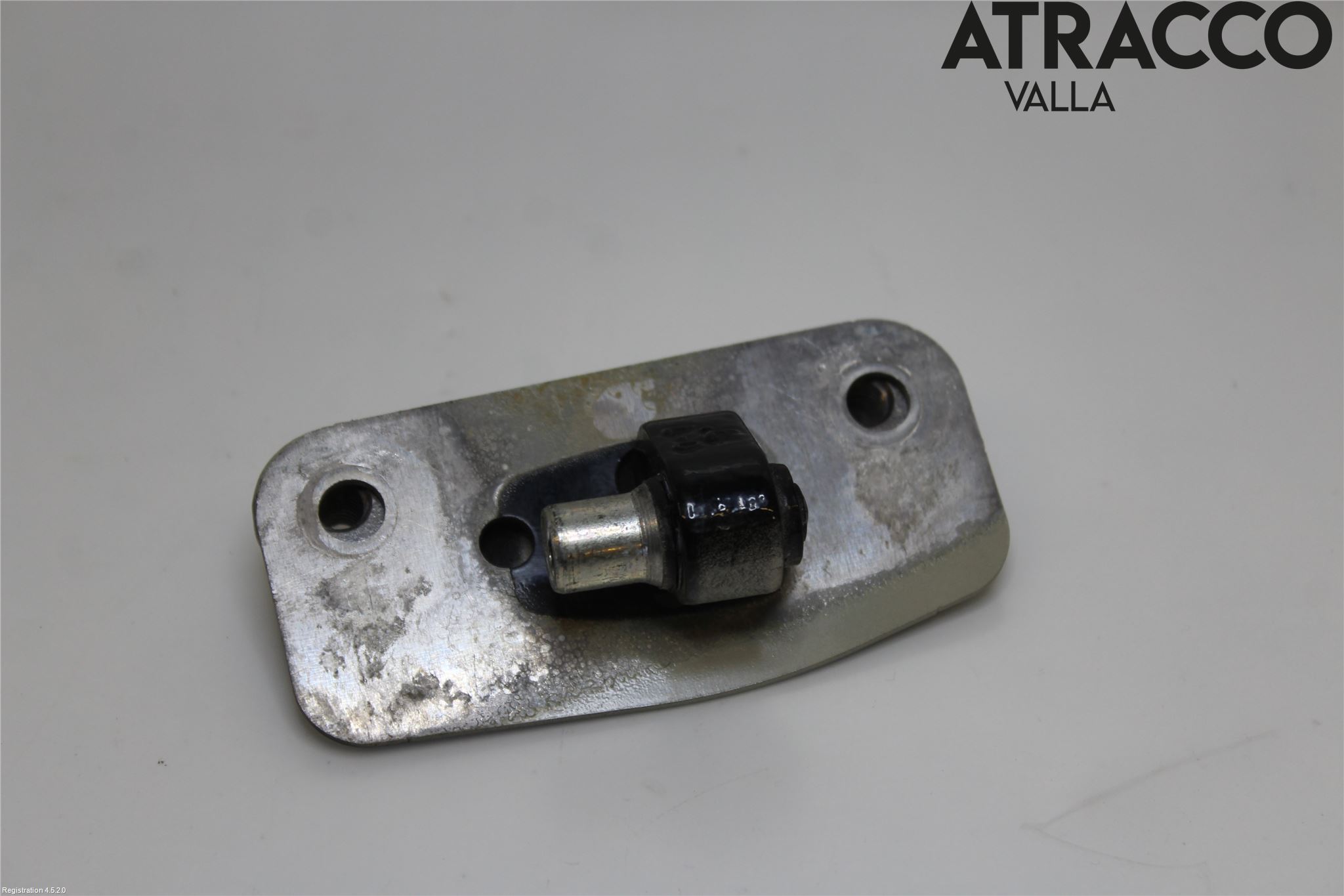 Porsche PANAMERA 09- Dörrgångjärn