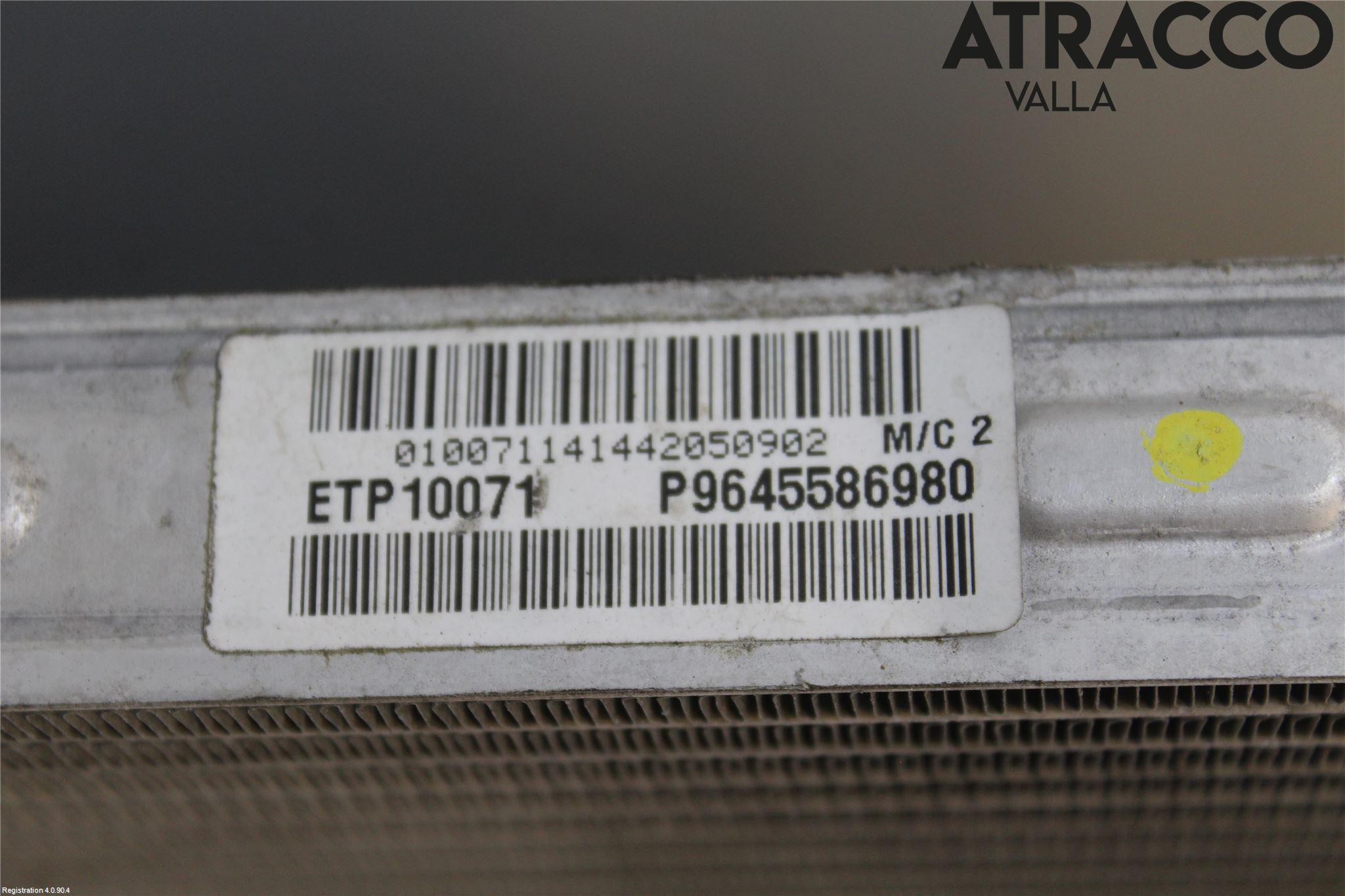 Peugeot 407 Kylare Man