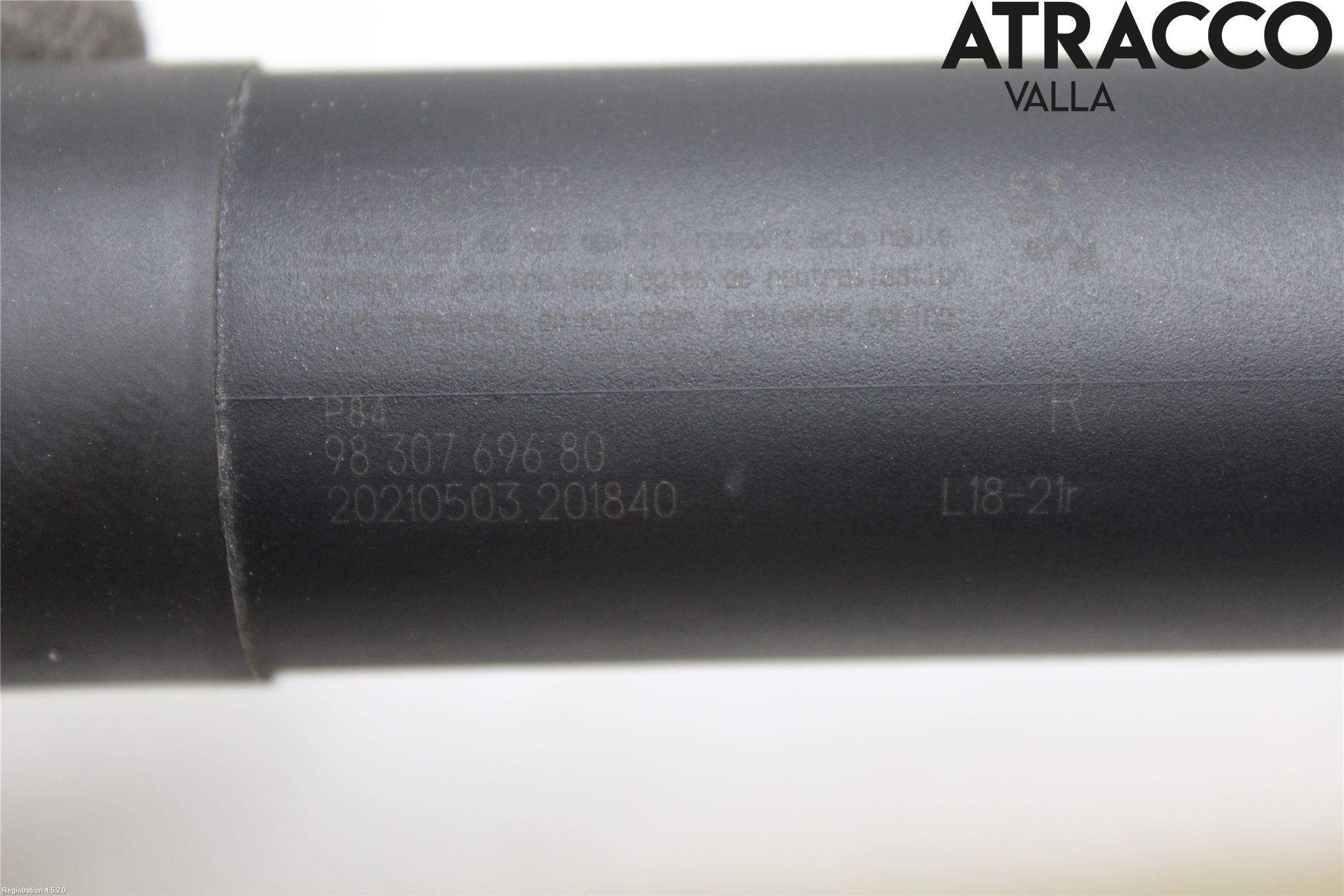 Peugeot 3008 17-24 Gasfjäder Baklucka